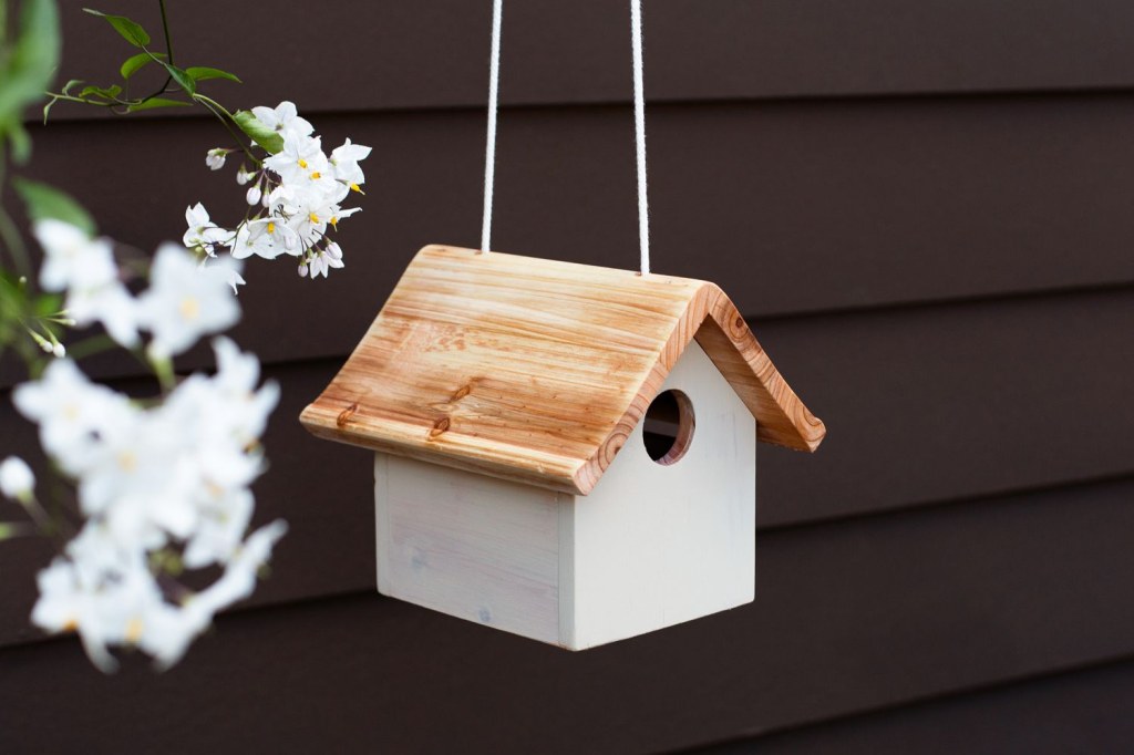 Picture of: Stylish Birdhouse Painting Ideas That Are Also Bird-Safe